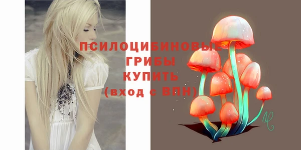 ешки Гусь-Хрустальный