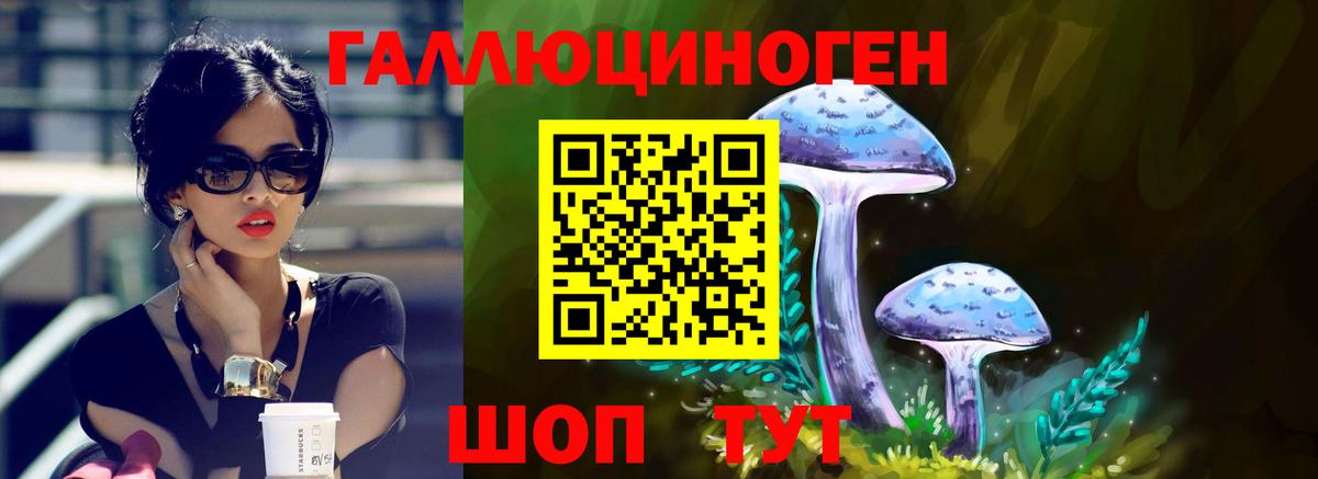 Псилоцибиновые грибы Cubensis  Вход с VPN  Мценск 